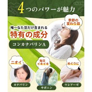 なた豆茶【まとめ割3袋セット】白なた豆茶 国産...の詳細画像4