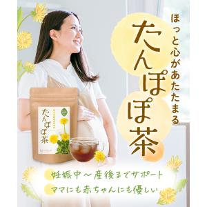 たんぽぽ茶 国内製造 ティーバッグ (2g×3...の詳細画像2