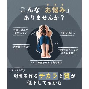 たんぽぽ茶 国内製造 ティーバッグ (2g×3...の詳細画像3
