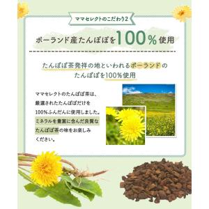 たんぽぽ茶【ブランド累計60万袋】国内製造 テ...の詳細画像5