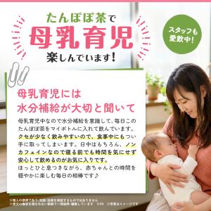 たんぽぽ茶 国内製造 ティーバッグ (2g×3...の詳細画像5
