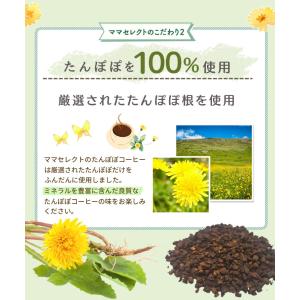 【期間限定価格】たんぽぽコーヒー 国内製造 テ...の詳細画像5