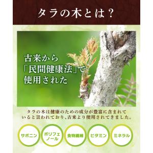 タラノキ茶 ティーバッグ 30包 タラの木茶 ...の詳細画像3