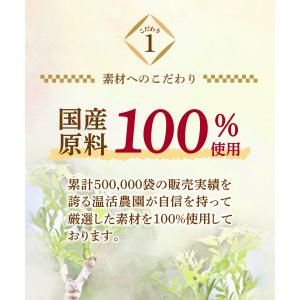 タラノキ茶 ティーバッグ 30包 タラの木茶 ...の詳細画像5