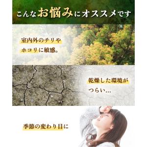 甜茶【ブランド累計60万袋】国内製造 ティーバ...の詳細画像3