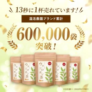 ウラジロガシ茶【ブランド累計60万袋】国産 テ...の詳細画像1