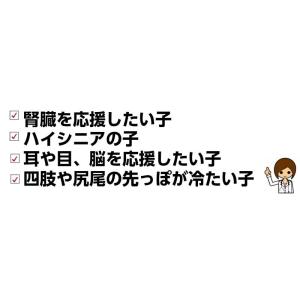 犬 猫 ドライハーブ イチョウ オーガニック ...の詳細画像2
