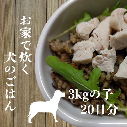 犬 手作りごはん 元気ごはんの素 5.５合炊き485g 3kgの子20日分