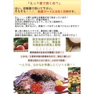 犬 手作りごはん 元気ごはんの素 試食97g ...の詳細画像1