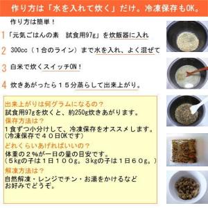 犬 手作りごはん 元気ごはんの素 試食97g ...の詳細画像2