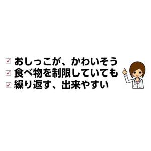 犬 猫 サプリメント 結石 膀胱炎ケア オーガ...の詳細画像2