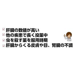 犬 猫 サプリメント 肝臓ケア オーガニックハ...の詳細画像2