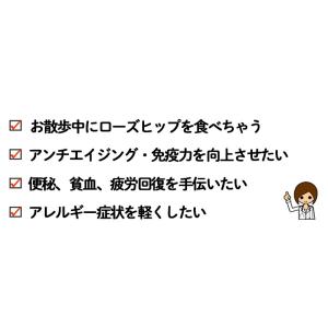 犬 猫 ローズヒップパウダー オーガニックの詳細画像2
