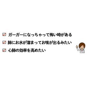 犬 猫 サプリメント 咳ケア オーガニックハー...の詳細画像2