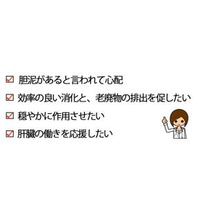 犬 猫 サプリメント 胆泥ケア オーガニックハ...の詳細画像2