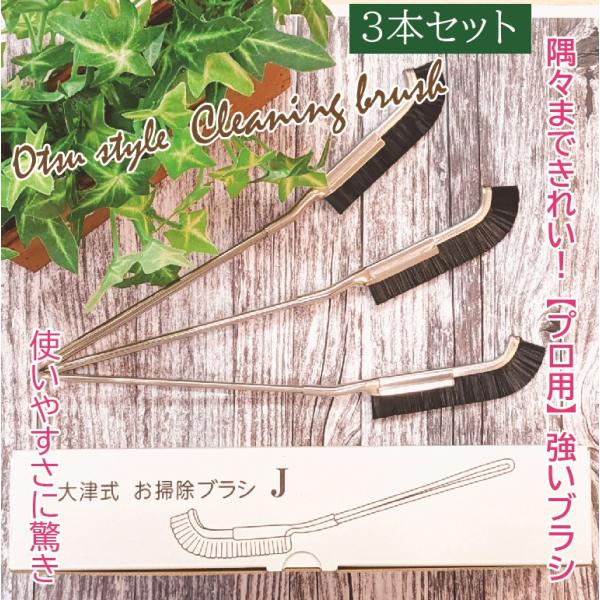 お風呂掃除 ブラシ トイレ掃除 お掃除 3本 大津式ブラシ ブラシ お掃除 おそうじ ドリーム 大津...