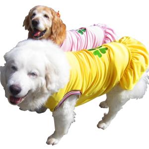 犬服 ドッグウェア 1.5Lサイズ（大型犬） DOGフリル COOL!!クローバーl♪ クリックポスト送料無料（代金引換別途送料600円〜）｜mamav