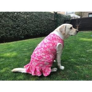 犬服 ドッグウェア 桜 さくら フリル 1.5Lサイズ（大型犬） DOGフリル付タンクトップ 桜プリント クリックポスト送料無料（代引き不可）｜mamav