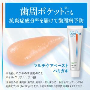 花王 ピュオーラ PureOra36500 薬...の詳細画像2