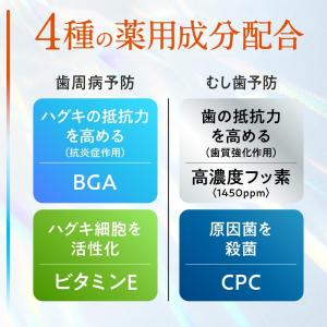 花王 ピュオーラ PureOra36500 薬...の詳細画像5