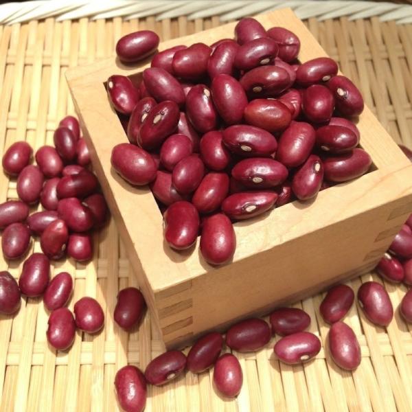 【ゆうパケット 送料無料】新豆 大正金時豆 「500g」 北海道産 令和7年産 金時豆 赤いんげん ...