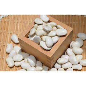 宅配便】大福豆【1kg】北海道産 白いんげん豆 オオフク豆 令和7年産 十