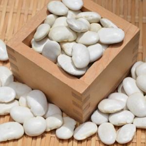 宅配便】大福豆【1kg】北海道産 白いんげん豆 オオフク豆 令和7年産 十