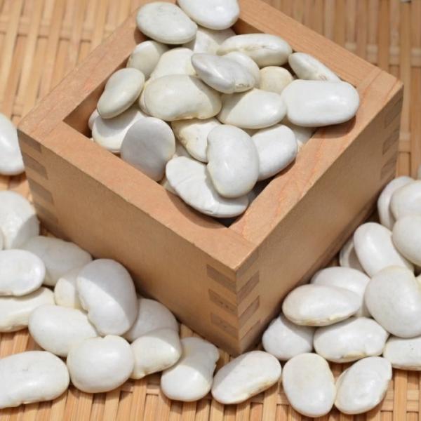【宅配便】北海道産 白花豆 1kg 令和5年産 新豆 猛暑の影響によりやや傷や汚れあり