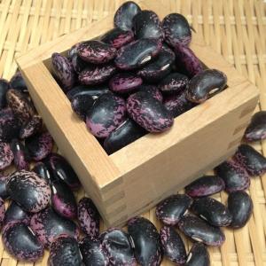 高原花豆 (1kg) 令和6年産群馬県産 【メール便対応】 : 松葉屋 高原花豆 (1kg) 令和6年産群馬県産 【メール便対応】 : 松葉屋