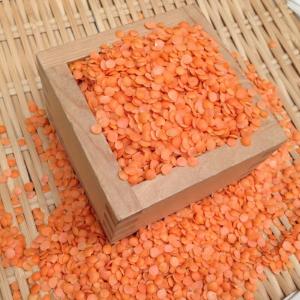 【ゆうパケット 送料無料】300g レッドレンズ豆(皮なし) 赤レンズ豆 アメリカ産