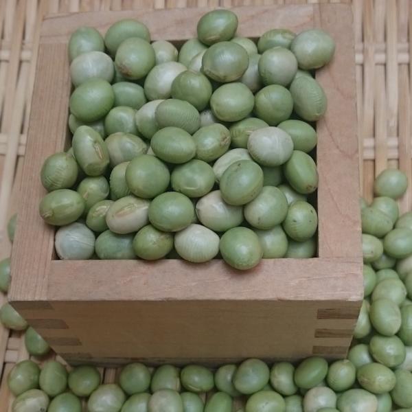 枝豆 レシピ 人気