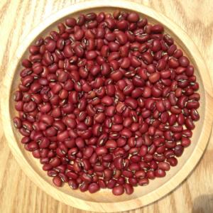 新物 令和7年産 ささげ 国産 群馬産240g（120g袋入り×2袋）お赤飯