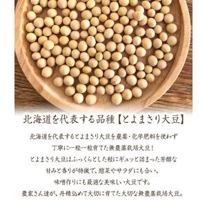 【ゆうパケット 送料無料】無農薬栽培大豆 90...の詳細画像1