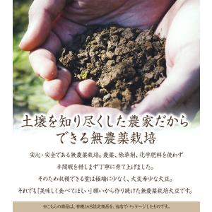 【ゆうパケット 送料無料】無農薬栽培大豆 90...の詳細画像2