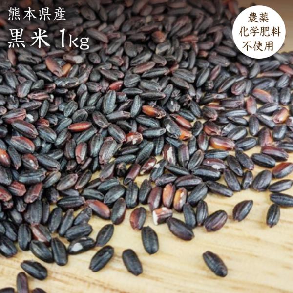 【宅配便】黒米【1kg】自然栽培 古代米 熊本県産 令和7年産 農薬化学肥料不使用