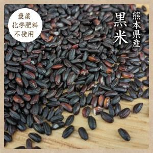 【ゆうパケット送料無料】黒米【300g】自然栽...の詳細画像2