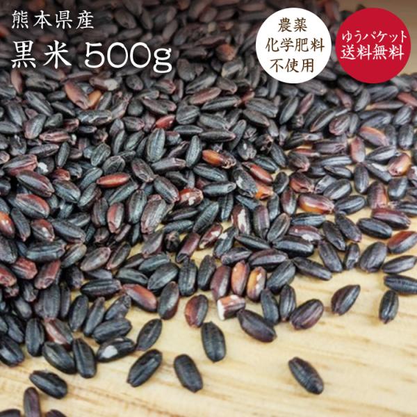 【ゆうパケット送料無料】 黒米【500g】自然栽培 古代米 熊本県産 令和7年産 農薬化学肥料不使用