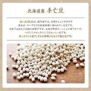 【ゆうパケット送料無料】北海道産 手亡豆 「9...の詳細画像2