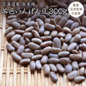 【宅急便】【300g】北海道産 茶色いんげん豆 在来種 無農薬栽培 希少いんげん豆 農薬化学肥料不使用 国産 いんげん豆｜mame-sanei