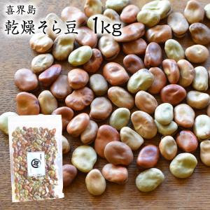 宅配便】大福豆【1kg】北海道産 白いんげん豆 オオフク豆 令和7年産 十