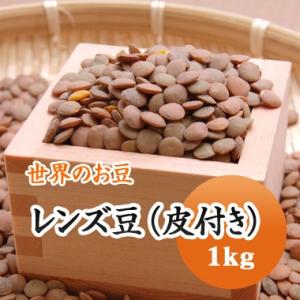 豆 レンズ豆 ブラウン 皮付き アメリカ産 1kg