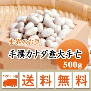 豆 白いんげん豆 大手亡 カナダ産 500g  ※日時指定不可・代引不可・同梱不可商品　お届けに３日〜７日かかります