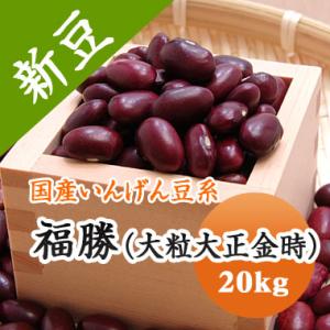 豆 金時豆 大粒 送料無料 北海道産 福勝 令和５年産 20kg 業務用｜mamehei