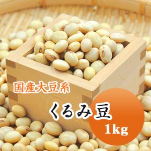 送料無料 ミヤギシロメ大豆 宮城県産 大粒 令和7年産 10kg 業務用