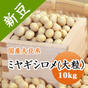 送料無料 ミヤギシロメ大豆 宮城県産 大粒 令和７年産 10kg 業務用