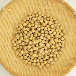 送料無料 ミヤギシロメ大豆 宮城県産 大粒 令...の詳細画像2