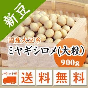 大豆 ミヤギシロメ 宮城県産 大粒 令和７年産 メール便 送料無料 900g ※日時指定不可・代引不...