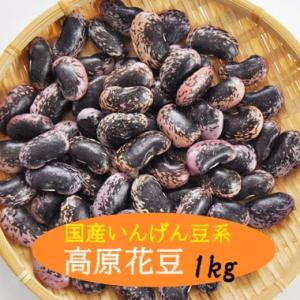 豆 紫花豆 大粒 高原花豆 長野県産 令和３年産 1kg　特別　