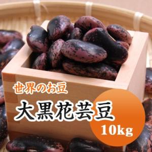 豆 紫花豆 大黒花芸豆 送料無料 中国産 10kg