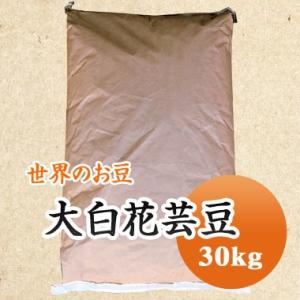 豆 白花豆 大白花芸豆 30kｇ 中国産 送料無料｜mamehei